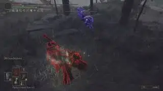 Thorn user killed themselves (thorns before nerf)