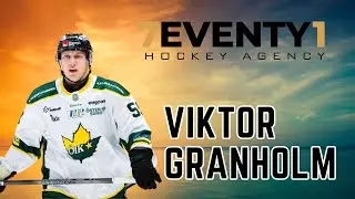 Viktor Granholm - Goals 23/24