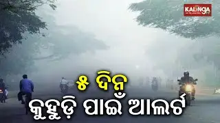 Winer in Odisha: Cold wave to persist for next 4 days, Dense fog warning issued for 5 districts