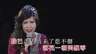 麗莎丨飄零淚丨最愛麗莎全經典演唱會