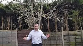 Rabbi Shaya Grunfeld - Hashem Runs The World