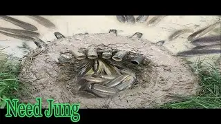 Clever Man Make A Primitive Deep Hole Fish Trap With Bamboo-How To Make A Easy Fish Trap - Need Jun