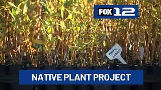 Grand Ronde tribe works to restore native plants and cultural traditions