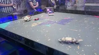 NHRL The Final Botdown Booty Brigade vs Happy Apple