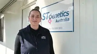 Fresh Semen Handling Guide by STG Australia