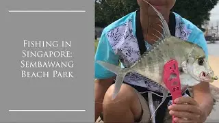 LAND BASED WILD BARRAMUNDI AND DIAMOND TREVALLY ON LURE?! Fishing in Singapore -Sembawang Park Beach