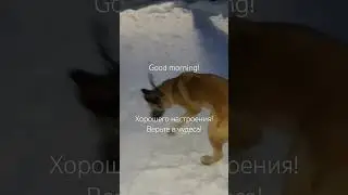 Good morning 🙂 #видео#зима#песня