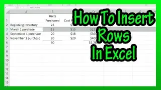 How To Insert (Add) A Row Or Multiple Rows In Excel Explained