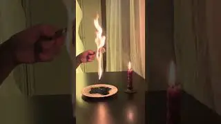 Чистка в Полнолуние 