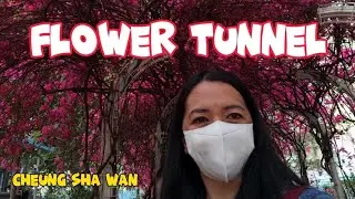 UN CHAU ESTATE FLOWER TUNNEL //CHEUNG SHA WAN