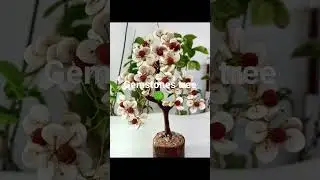 Gemstone tree #crystals#shortvideos #crystal#viralvideos #amethyst#shortvideo #shortsyoutube#shorts