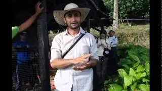 Agroturismo: Canes Finca Cacaotera en Maceo Antioquia- Colombia
