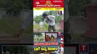 భీమిలి డచ్ సమాధుల వెనుక దాగి ఉన్న నిజాలు  hidden truths behind Dutch tombs of Bhimili | TRUTHDIGITAL