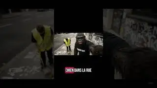 #ai #funny #gorillatag #gorille #ia