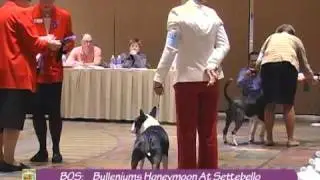 BTCA Sweeps Demo