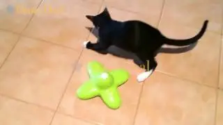 Butterfly cat toy 1 25 edit