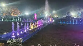 12 January 2026