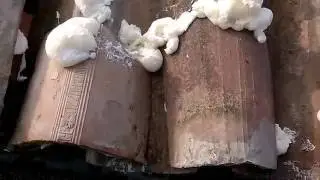 Coppi che scivolano video 2