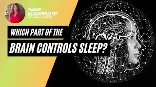 Which Part of the Brain Controls Sleep?