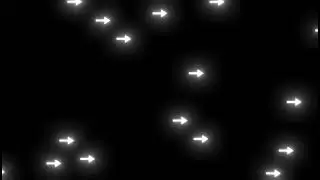 Script Arrows Overlay