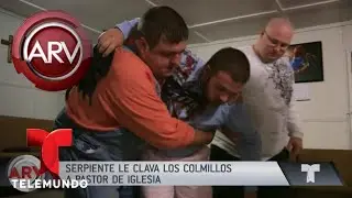 Cascabel muerde a pastor en pleno serm&oacute;n | Al Rojo Vivo | Telemundo