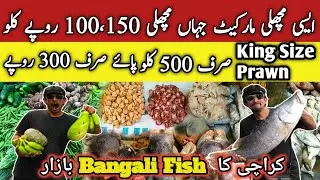 Cheapest Fish Market | Fresh Fish Market | Karachi Ka Mini Bangladesh | Fish Lovers