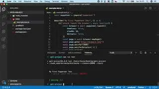 Automated  Software Testing with Puppeteer - 2.5. Reload the Browser