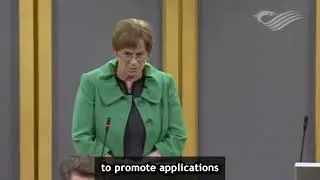 Senedd's ethnic minority apprenticeship programme