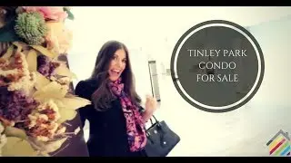 Tinley Park Condos for Sale
