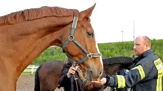 Feuerwehr-Schulung im Stall