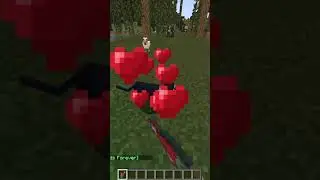 Taming Black Cat and got Caught by the Witch - Minecraft Moments #shorts