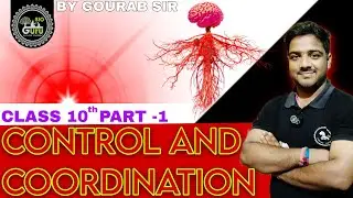 Control And Coordination | by gourab sir | class 10th | ramvaan | #bioguru #nirsa #youtube #video 