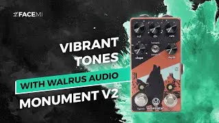 Walrus Audio MONUMENT V2 (Harmonic Tremolo) | Tone Teaser | FACE MI
