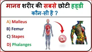 GK | General Knowledge | GK Quiz | Smallest bone in human body | मानव शरीर की सबसे छोटी हड्डी