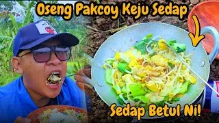 Eksplore Sawah, Ending-nya Masak Oseng Pakcoy Keju Sedap!