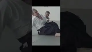 Aikido FreeStyle Technique: Part 2 #shorts #funny #karate #martialarts