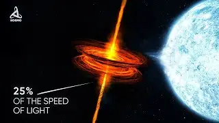 MICROQUASAR SS 433. THE MOST BIZARRE SYSTEM WITH A BLACK HOLE