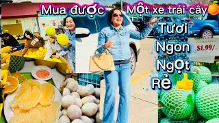 #255🇺🇸 Bất ngờ mua được 1 xe trái cây tươi ngon lại rẻ🍊￼ ởTP Arlington🍎￼ cùng đi 2 chợ luôn👏🥭🍑🍇😋