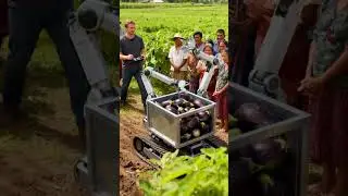 Watch This Robot Harvest Red Onions with Precision in a Lush Onion Field#shorts#farming#automobile