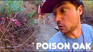 The MUST DO Hike in Santa Barbara