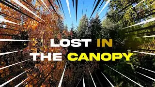 Deep in the Jungle vol.12 | FPV Slow & Proximity | Lost In The Canopy