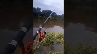pescaria de molinete kkkkk #fishing #pescaria #pescador #fish #pescando #peixe #campping #pescacomba