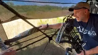 Archery Shot Beyond 20 Yards Inside the Funhorun Hunting Blind 🎯🦌