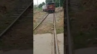 WAG5HA SR DIVISION LOCO STAND IN JUC STATION