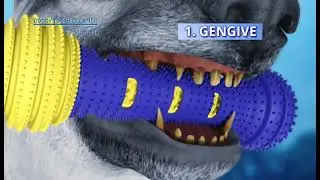DOGGY TOOTH CLEANER BY STARLYF ita
