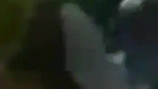 Eshak bilan Baqaloq sõkishdi.