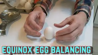 How to Balance an Egg on the Equinox (or any other day)