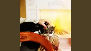Rhythmic Fireside Harmony for Pets