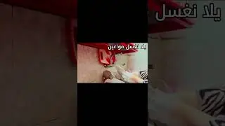 يلا نغشل 🫧المواعين🧼 مع بعض 🧺#حكيات🫧🧽 غسيل المواعين 🫧🫧🧼