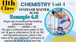 Explanation of Example 4.8, Chemistry Xi